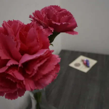 Palazzo Irma - - Luxury Hotel Vibo Valentia