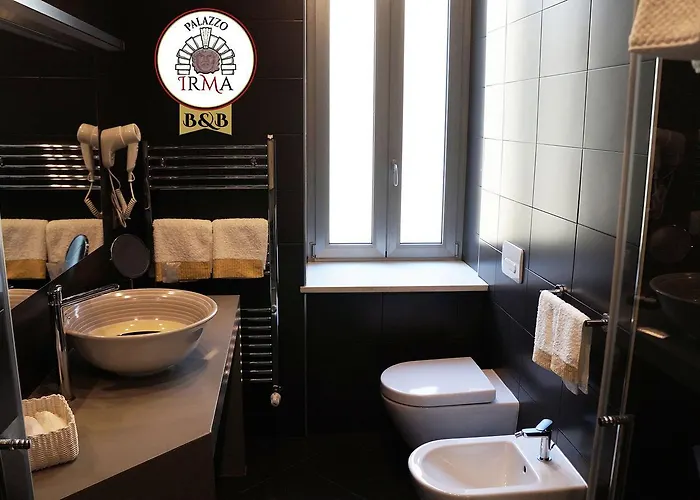 Palazzo Irma - - Luxury 3* 维博瓦伦蒂亚