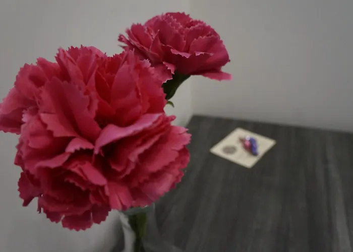 Palazzo Irma - - Luxury 酒店 维博瓦伦蒂亚