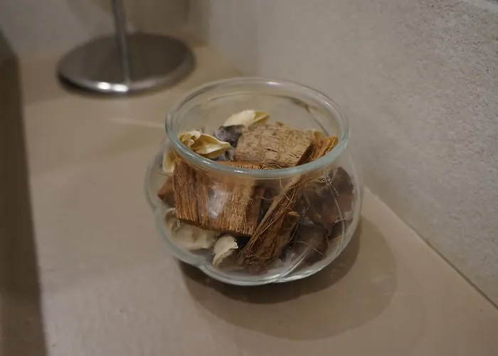 Palazzo Irma - - Luxury 3* 维博瓦伦蒂亚